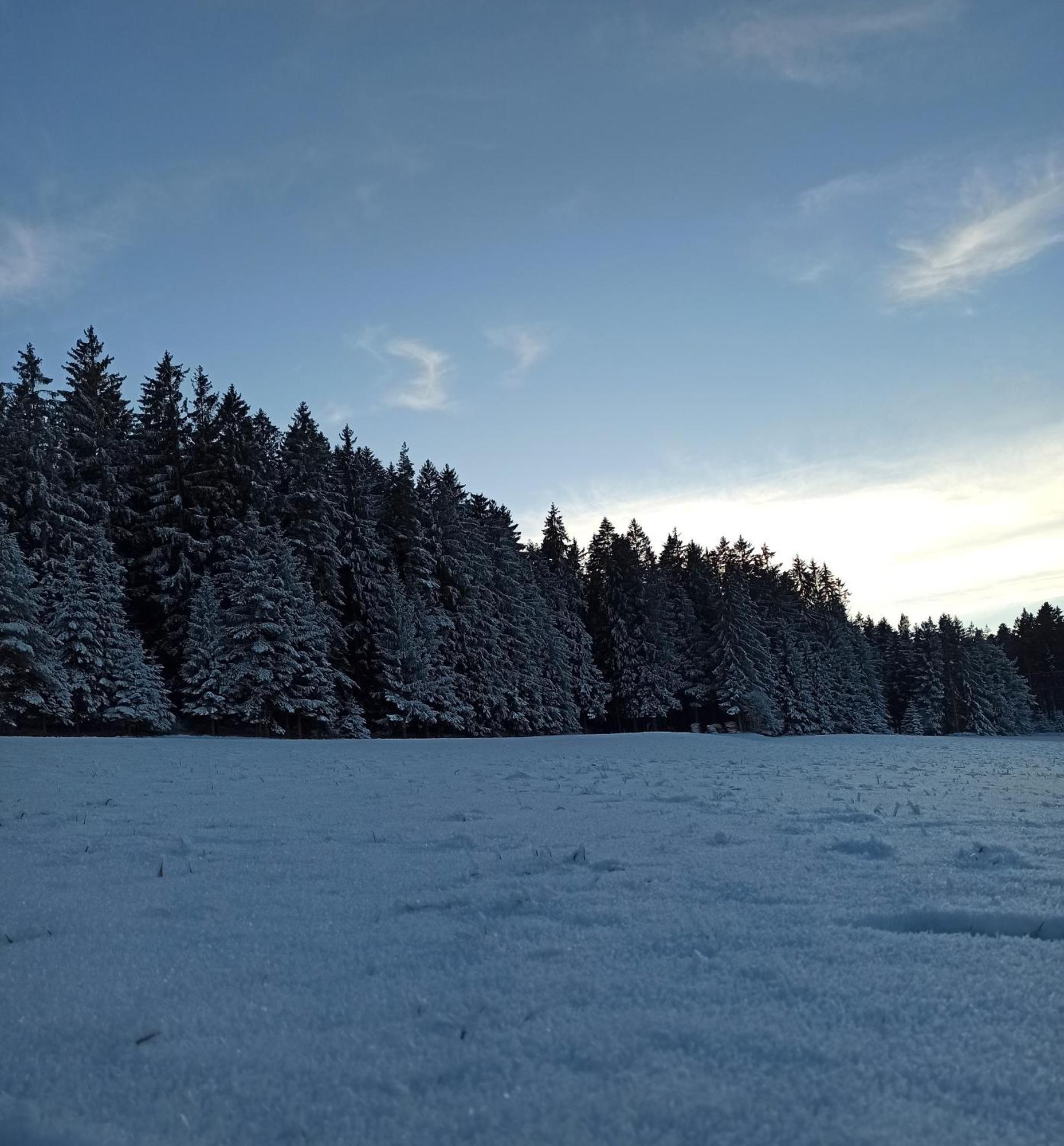 Ferienwohnung Brentenholz Sankt Georgen im Schwarzwald Exterior photo